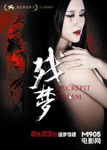 残梦 在线观看,穿越时空的奇幻之旅  第1张